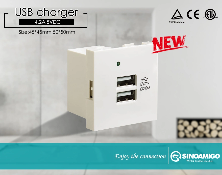 USB Wall Chargers Socket for Phone and Pad